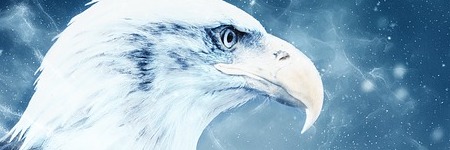 Energie update Blauwe Adelaar levenspad 8 - 20 januari 2023: Hoe het kleine groot kan zijn